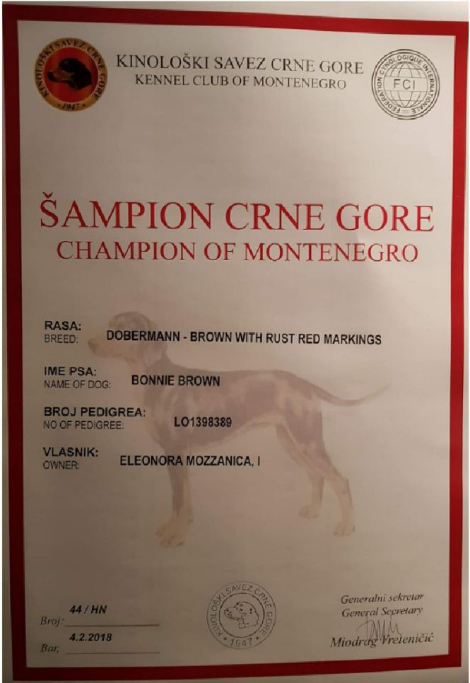 bonnie-brown-champion-montenegro-attestato